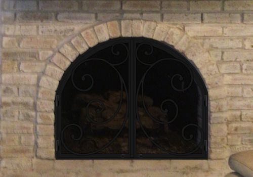 Fireplace Door Project #20583