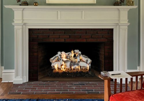 Fireplace Door Project #20613