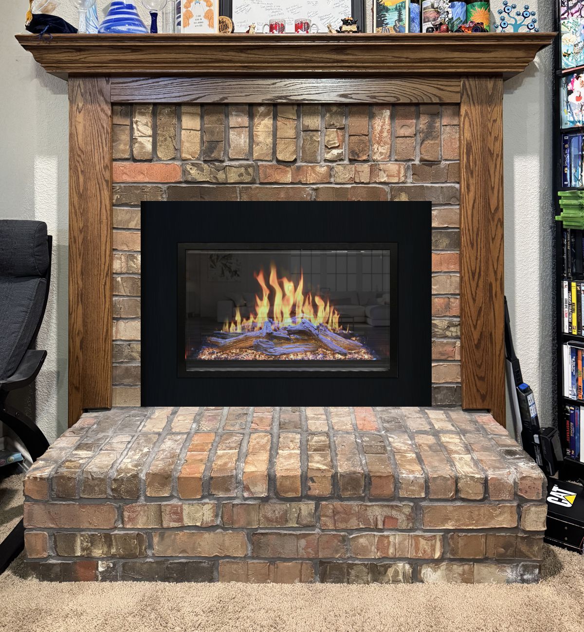 Fireplace Door Project #20694