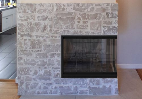 Fireplace Door Project #20707