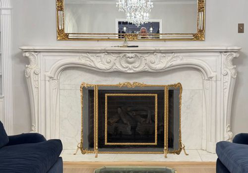 Fireplace Door Project #20714