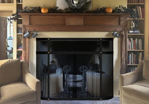 Fireplace Door Project #20750