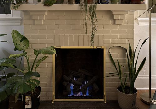 Fireplace Door Project #20751