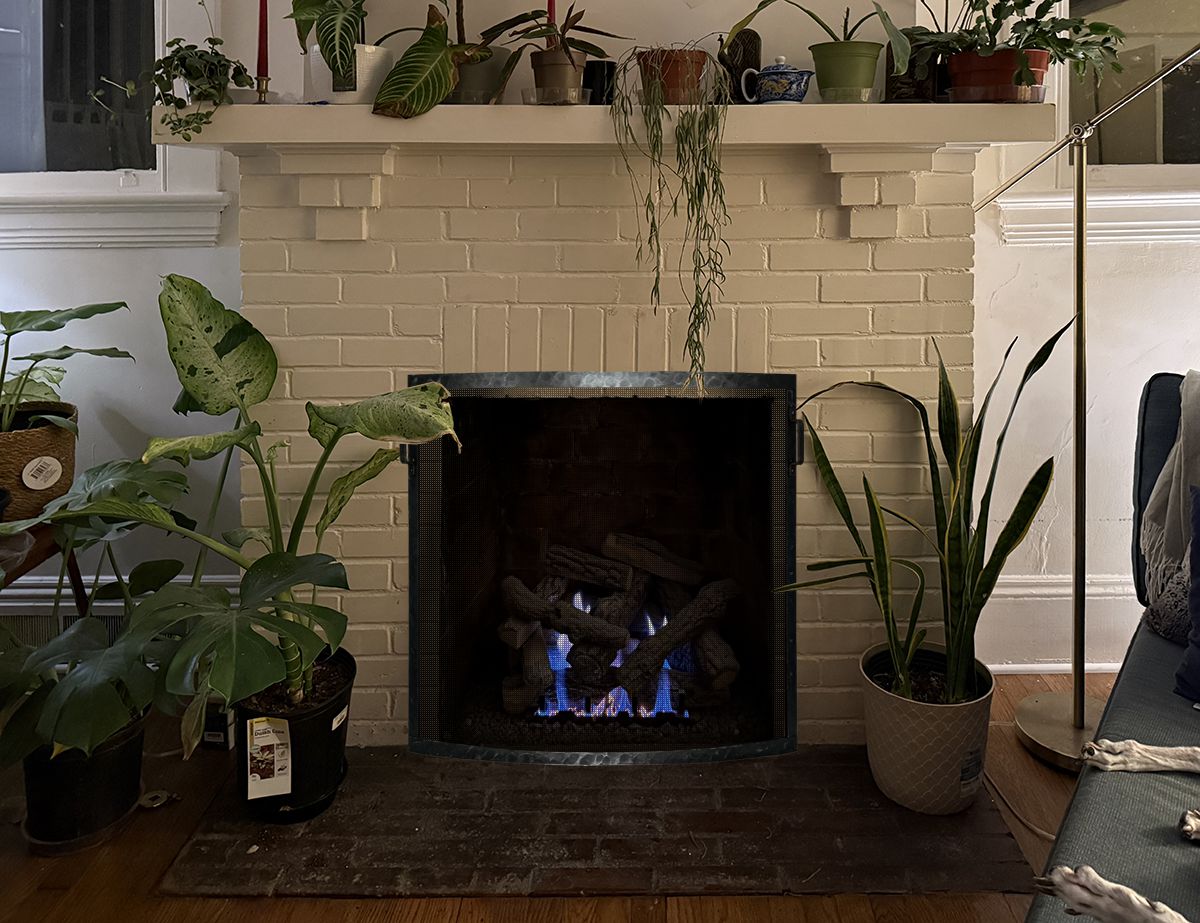 Single Panel Bowed Fireplace Screen
