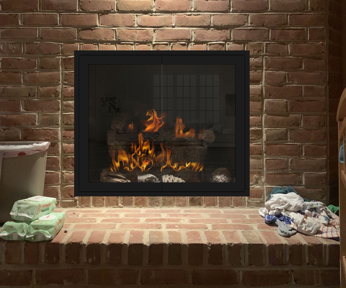 Modern-1 Flat Steel Fireplace Door