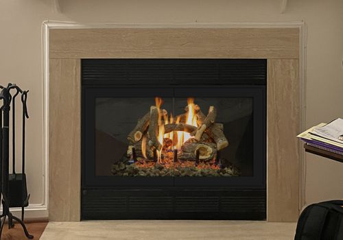 Fireplace Door Project #20808