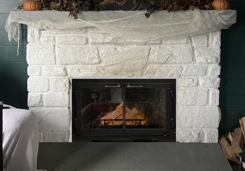 Fireplace Door Project #20827