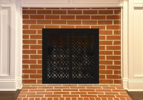 Fireplace Door Project #20841