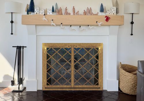 Fireplace Door Project #20842