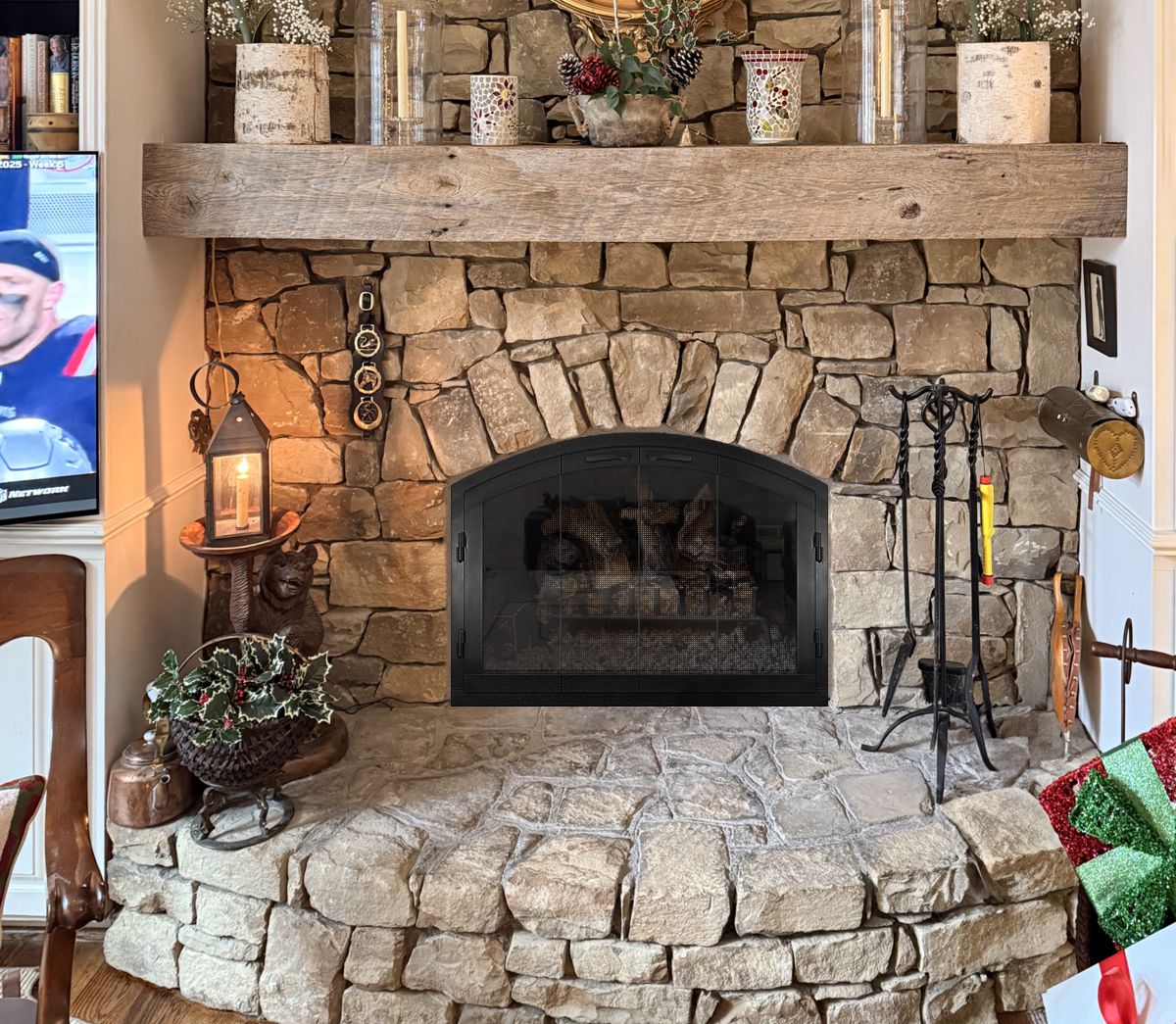 Wrought Iron Fireplace Door