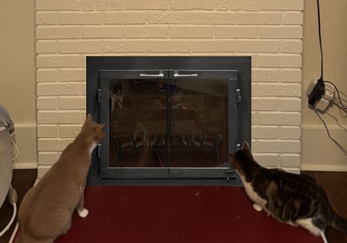 Fireplace Door Project #20882