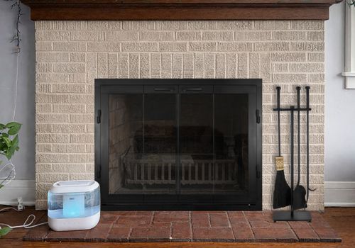 Fireplace Door Project #20893