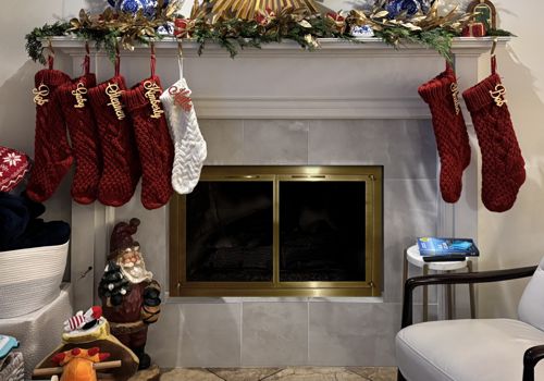 Fireplace Door Project #20906