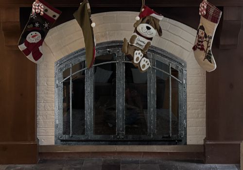 Fireplace Door Project #20911