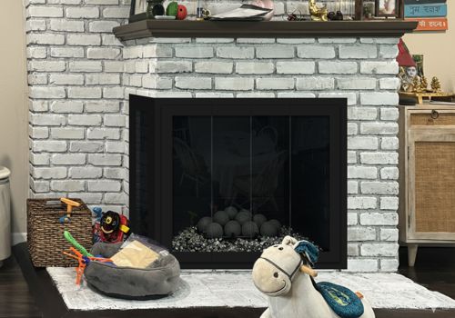 Fireplace Door Project #21025