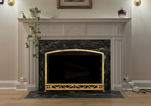 Fireplace Door Project #21030