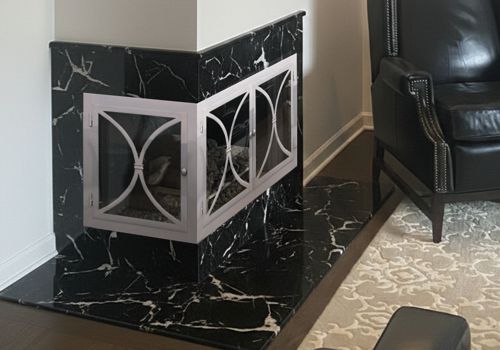 Fireplace Door Project #21031