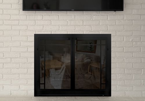 Fireplace Door Project #21033