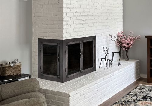 Fireplace Door Project #21134