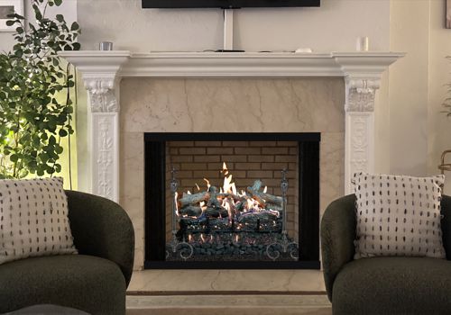 Fireplace Door Project #21144