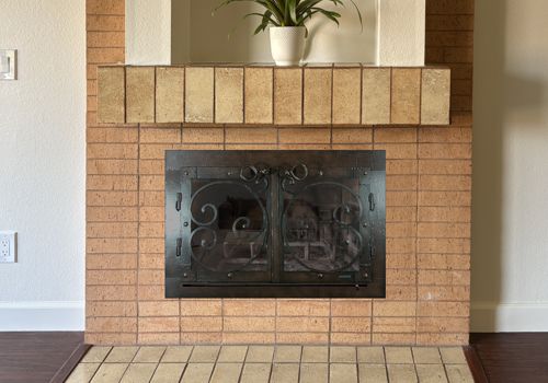 Fireplace Door Project #21175
