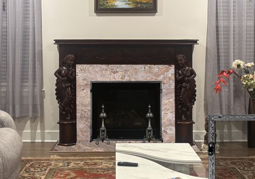 Fireplace Door Project #21178