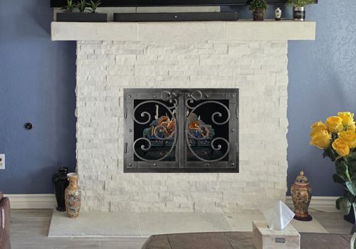 Fireplace Door Project #21242