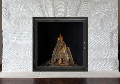 Fireplace Door Project #21257