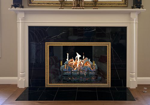 Fireplace Door Project #21260