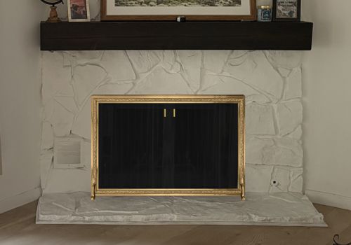 Fireplace Door Project #21261