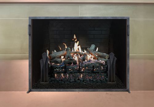Fireplace Door Project #21270