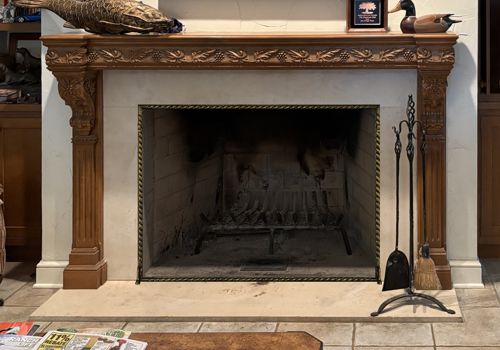 Fireplace Door Project #21287