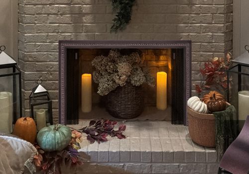 Fireplace Door Project #21371
