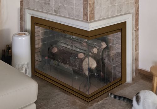 Fireplace Door Project #21373