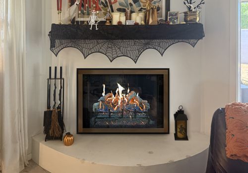 Fireplace Door Project #21380