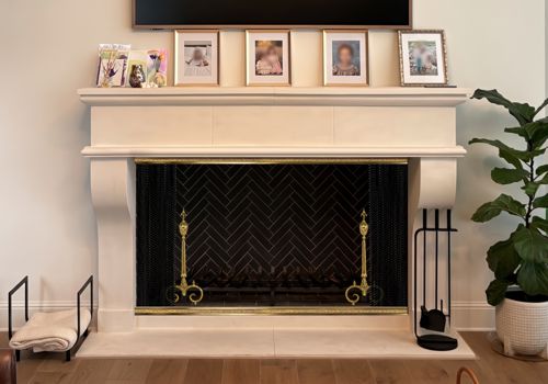 Fireplace Door Project #21395