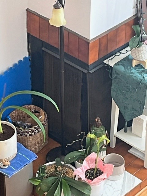 Fireplace Door Project #Russe